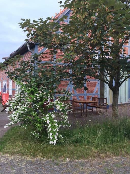 Entspannung In Der Schoenen Lueneburger Heide Gohrde Esterno foto