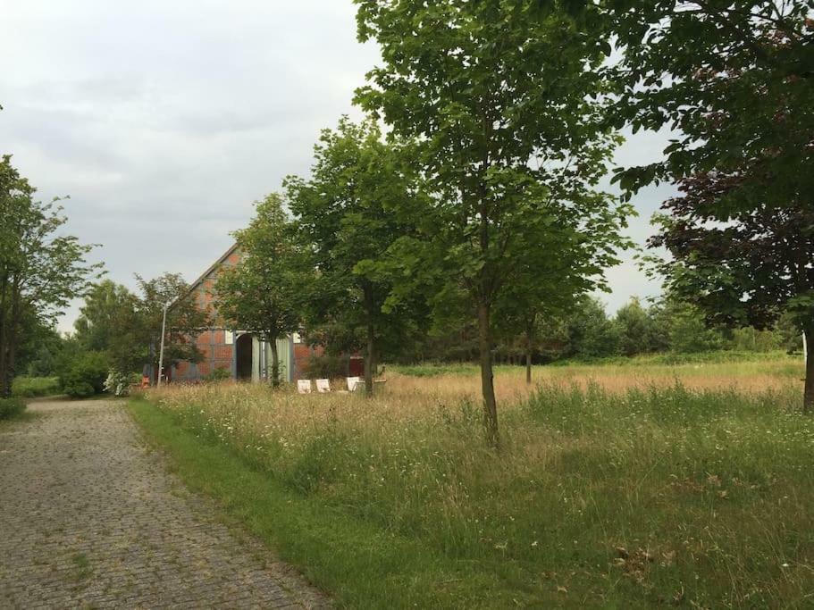 Entspannung In Der Schoenen Lueneburger Heide Gohrde Esterno foto