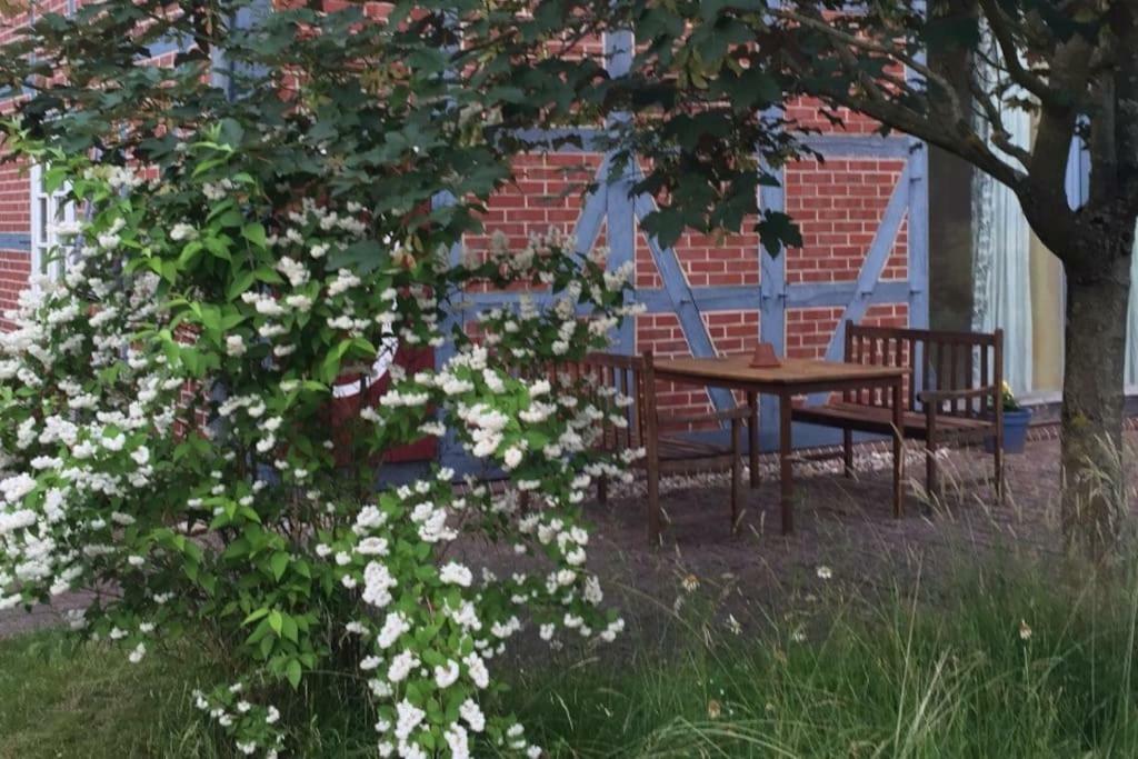 Entspannung In Der Schoenen Lueneburger Heide Gohrde Esterno foto